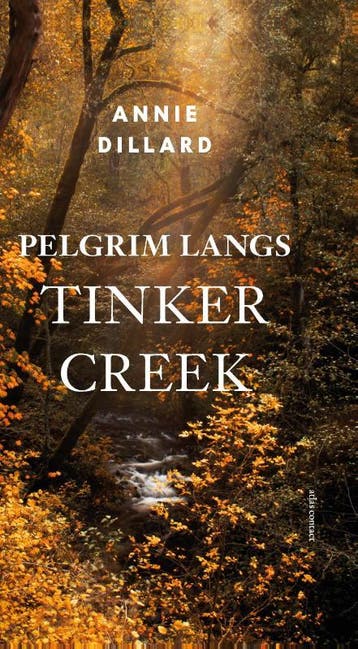 Pelgrim langs Tinker Creek 9789045037509 Annie Dillard, Boeken, Verzenden, Zo goed als nieuw, Annie Dillard