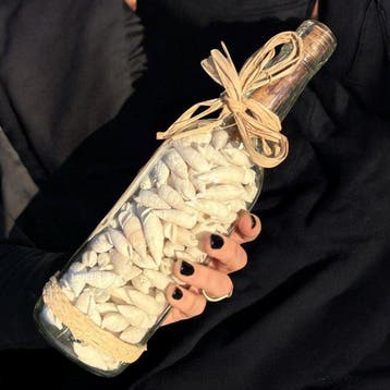 Boodschap uit de Zee - Glazen fles met natuurlijke schelpen, Nieuw