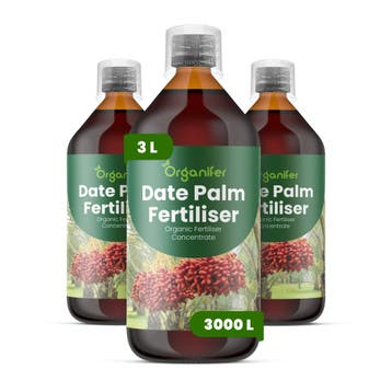 Dadelpalm Vloeibare meststof - 3x1 liter, Verzenden, Mest