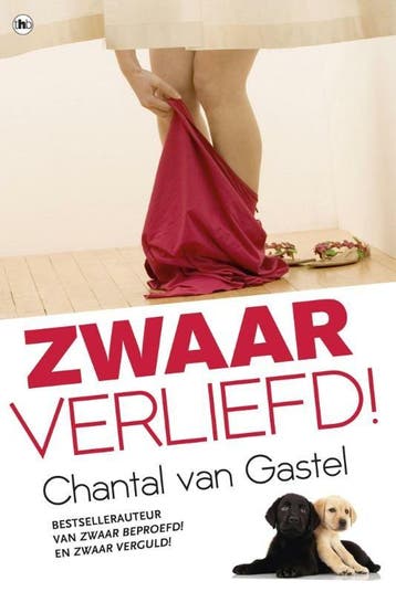 Zwaar verliefd / Leeslicht - Chantal van Gastel, Boeken, Romans, Verzenden, Gelezen, Chantal van Gastel