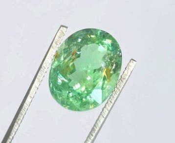 1 pcs Groen Paraiba toermalijn - 2.68 ct - nternational, Nieuw