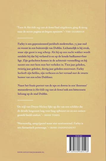 Het kille oog van de hemel 9789460684548, Verzenden, Zo goed als nieuw, Christine Dwyer Hickey