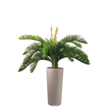 Cycas kunstplant, H105cm, Ophalen of Verzenden, Palm, 100 tot 150 cm
