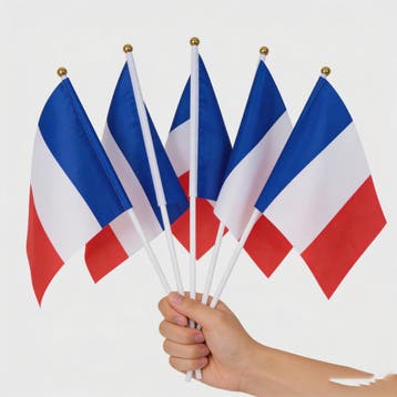 Franse Mini Vlaggetjes met Stokje - 14x21cm | Feest, Sport &, Verzenden, Nieuw