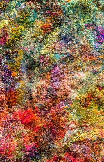Viet Ha Tran - Wall of Nature LXIV
