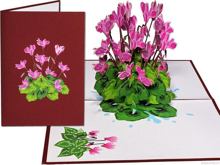 Cyclamen Roze Bloemen wenskaart pop-up kaart, Diversen, Wenskaarten, Verzenden