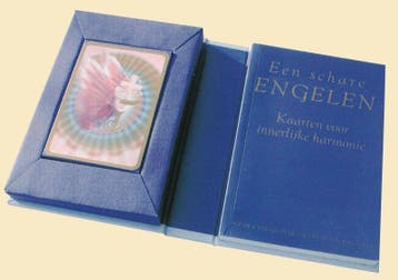 Een schare engelen - Angela MacGerr 9789043903103, Verzenden, Gelezen, Angela MacGerr