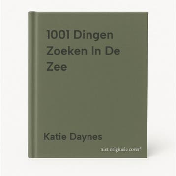 1001 Dingen Zoeken In De Zee - Katie Daynes 9789054572626, Verzenden, Gelezen, Katie Daynes
