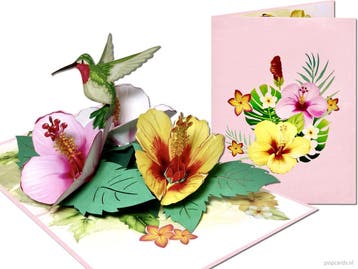 Wonderschone kolibrie vogel met hibiscus bloemen pop-up k..., Verzenden, Nieuw