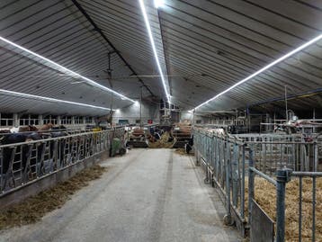 HEAVY DUTY INDUSTRIE LED LICHTLIJN 10 meter 114W 19.000...., Diversen, Nieuw
