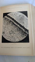 Louis Olivier - Recherches sur l’appareil tégumentaire des