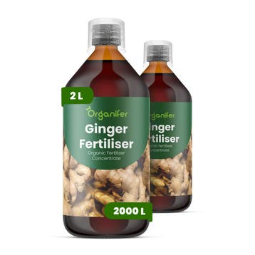 Gember vloeibare meststof - Set 2x1 liter, Verzenden, Mest