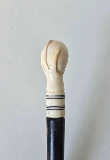 Unieke Wandelstok - Hout, Been - Hand/Klauw met bal., Antiek en Kunst