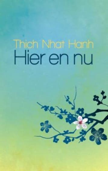 Hier en nu - Thich Nhat Hanh 9789045311715, Verzenden, Gelezen, Thich Nhat Hanh