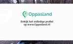Frans zoekt een oppas in Leidschendam voor 2 kinderen op...