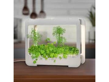 Veiling - LED Plantenkweekbox met Timer - 4000K Groeilicht -