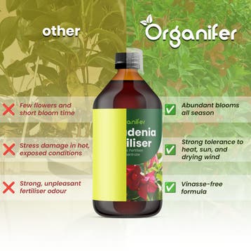 Dipladenia Vloeibare meststof - 1 liter, Verzenden, Mest