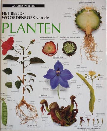 BEELDWOORDENBOEK-PLANTEN - Auteur  9789065905765, Boeken, Woordenboeken, Verzenden, Gelezen, Auteur