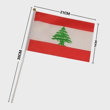 Libanon Handvlag 14x21cm - Plastic Stokje voor Feesten en Ev, Diversen, Verzenden, Nieuw