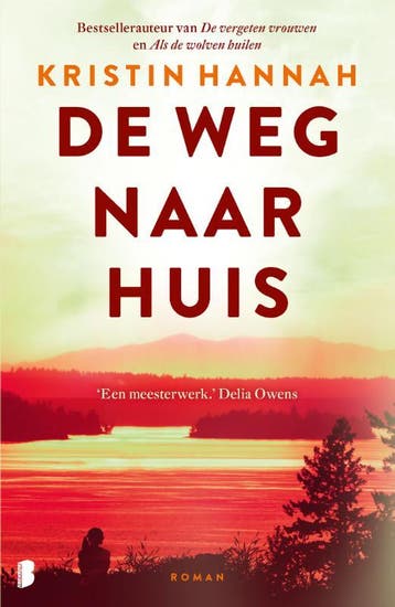 De weg naar huis - Kristin Hannah 9789049206093, Verzenden, Gelezen, Kristin Hannah