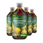 Chrysant Vloeibare meststof - 4x1 liter, Tuin en Terras, Verzenden, Mest