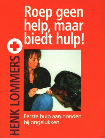 ROEP GEEN HELP, MAAR BIEDT HULP ! - H. Lommers 9789052661353, Boeken, Verzenden, Gelezen, H. Lommers