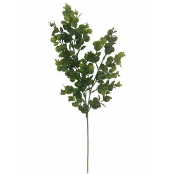 Eucalyptus tak Groen Zijdenbloem 72 cm per stuk, Ophalen of Verzenden, Nieuw