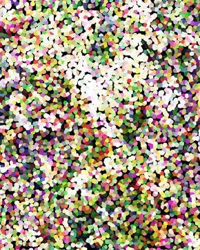 Soft Shell Confetti Groen, Nieuw, Groen