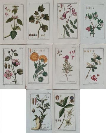 Johannes Zorn. J Sepp - 10 handgekleurde kopergravures oa.