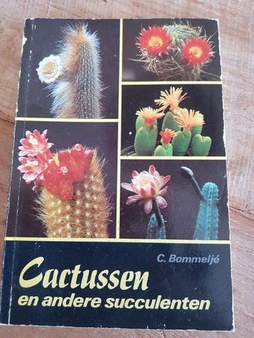 Cactussen en andere succulenten - Bommelje, Boeken, Verzenden, Gelezen