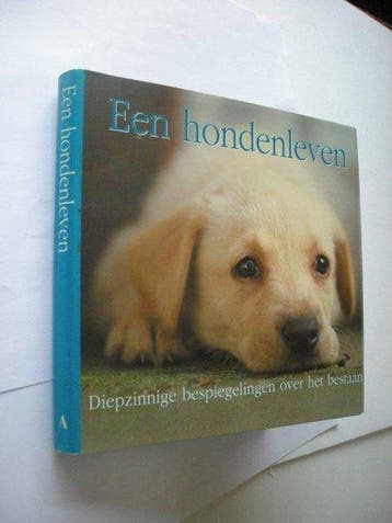 HONDENLEVEN - Anne Yelland 9789059471092, Boeken, Verzenden, Gelezen, Anne Yelland