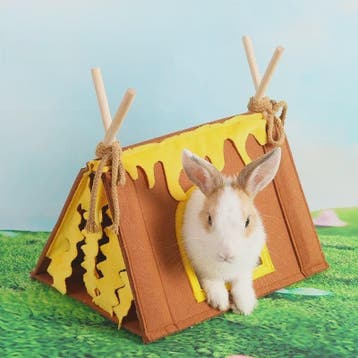 Dieren Tipi Tent - Schuilhuisje voor Konijn, Cavia, Hamster, Verzenden, Nieuw