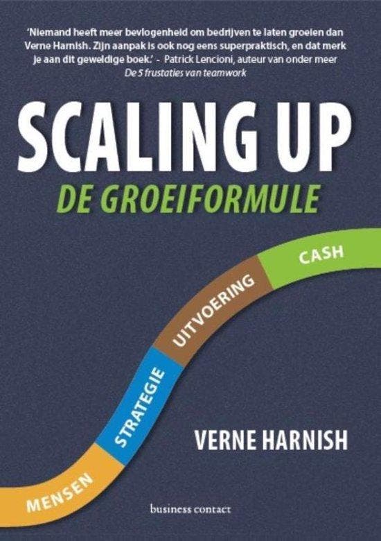 9789047008682 Scaling up | Tweedehands, Boeken, Schoolboeken, Zo goed als nieuw, Verzenden