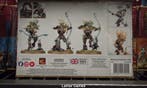 Sylvaneth Kurnoth Hunters new box art (warhammer nieuw), Ophalen of Verzenden, Nieuw