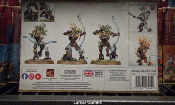 Sylvaneth Kurnoth Hunters new box art (warhammer nieuw), Hobby en Vrije tijd, Wargaming, Ophalen of Verzenden, Nieuw