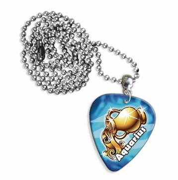 Waterman plectrum ketting, sleutelhanger of oorbellen, Ophalen of Verzenden, Nieuw