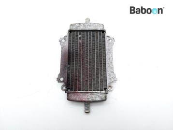 Radiateur Piaggio | Vespa GTS 250 2005-2013 (GTS250, Verzenden, Gebruikt