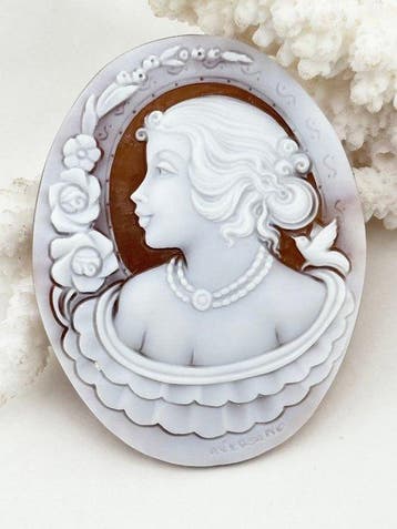 CASSIS MADAGASCARIENSIS - Cameo - handgesneden camee, Antiek en Kunst