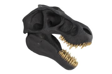 Wanddecoratie sculptuur T-REX 40 cm zwart - 48059, Ophalen of Verzenden, Nieuw