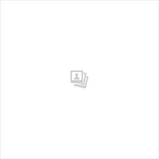 Playmobil ijscowagen speelgoed met  van €67,99 voor €64,94, Ophalen of Verzenden, Nieuw