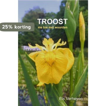 Troost - Els Verheyen 9789464057249, Verzenden, Zo goed als nieuw, Els Verheyen