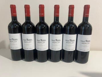 2022 Arnaldo Caprai Merlot - Umbrië - 6 Flessen (0.75 liter), Nieuw