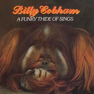 cd - billy cobham - A FUNKY THIDE OF SINGS (nieuw), Verzenden, Zo goed als nieuw