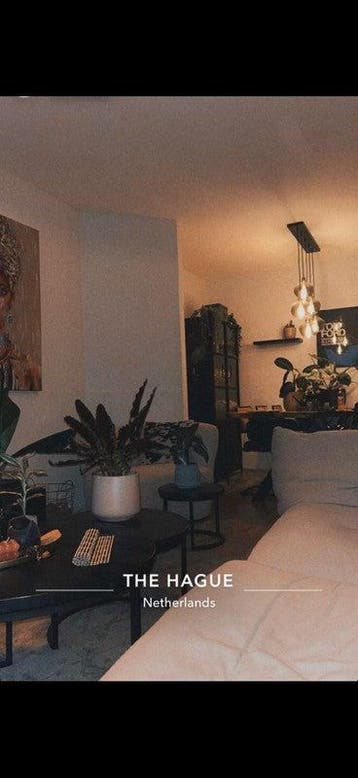 Te huur: Appartement Van Zeggelenlaan in Den Haag, Den Haag, Appartement, Zuid-Holland