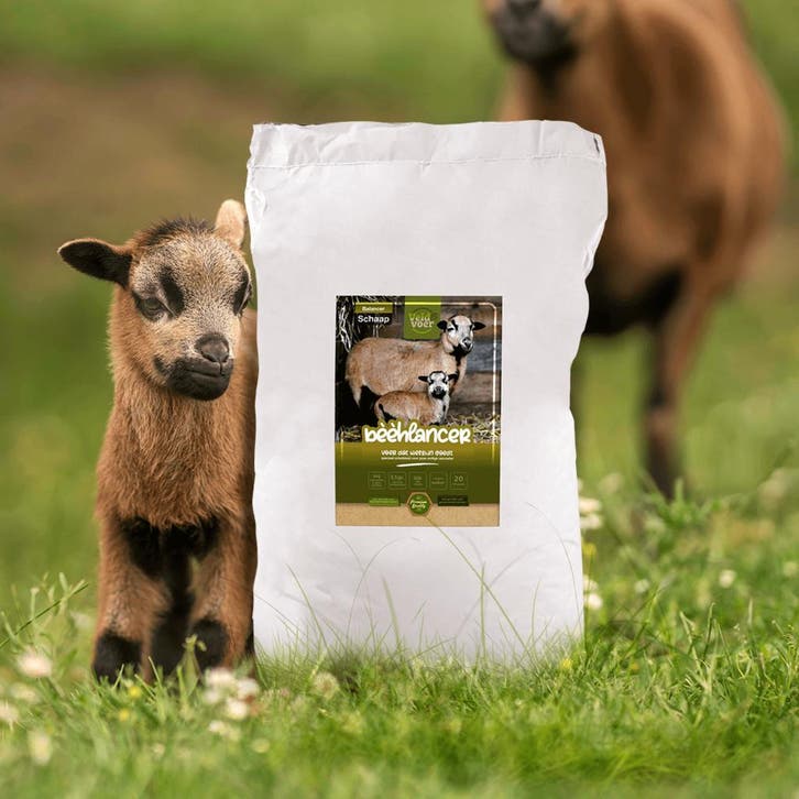 Bèèhlancer -Premium balancer voor hobbyschapen - Schapenvoer, Dieren en Toebehoren, Schapen, Geiten en Varkens, Schaap