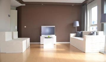 Te Huur Studio Gedempte Burgwal In Den Haag, 20 tot 35 m², Den Haag