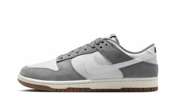 Nike Dunk Low Retro SE Cool Grey Photon Dust White, Nieuw