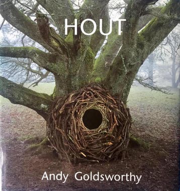 Hout - Adrian Goldsworthy 9789062558919, Boeken, Verzenden, Zo goed als nieuw, Adrian Goldsworthy