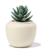 HEMA Bloempot 7x7.4cm keramiek crème, Verzenden