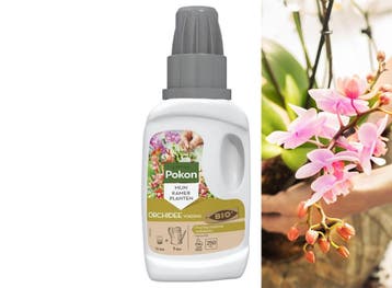 Pokon Orchidee Voeding - 250ml - Plantenvoeding - 10ml per, Verzenden